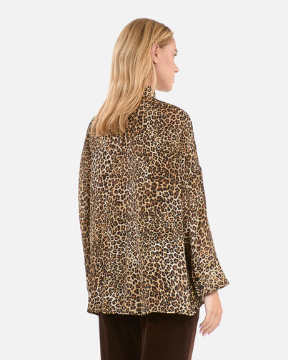 , LEOPARD, hi-res image number null