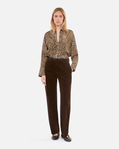 , LEOPARD, hi-res image number null