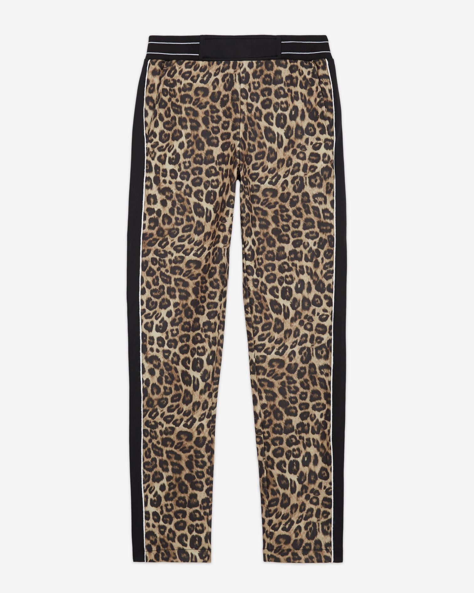 , LEOPARD, hi-res image number null