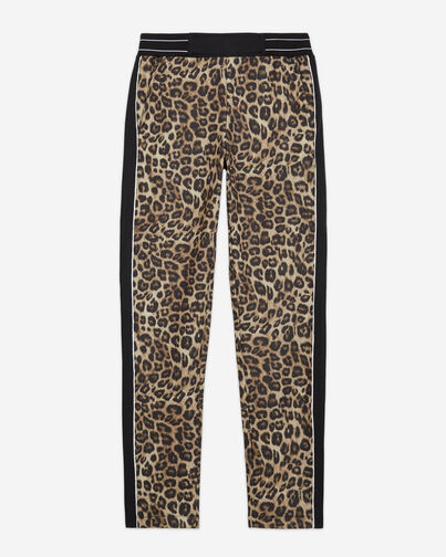 , LEOPARD, hi-res image number null