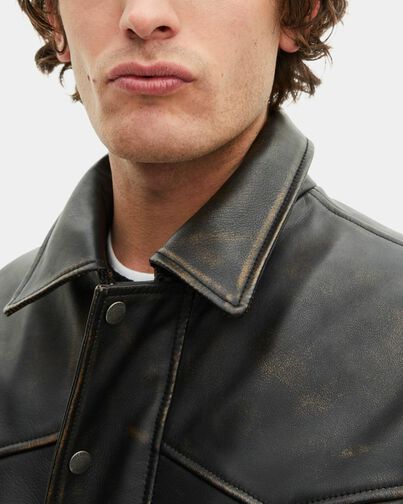 , DARK BROWN, hi-res image number null