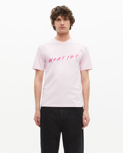 , PALE PINK, hi-res image number null