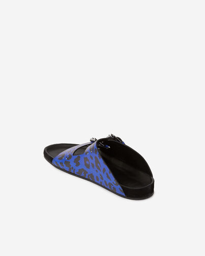 , BLUE, hi-res image number null