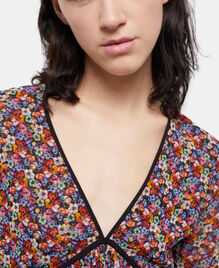 , MULTICOLOR, hi-res image number null