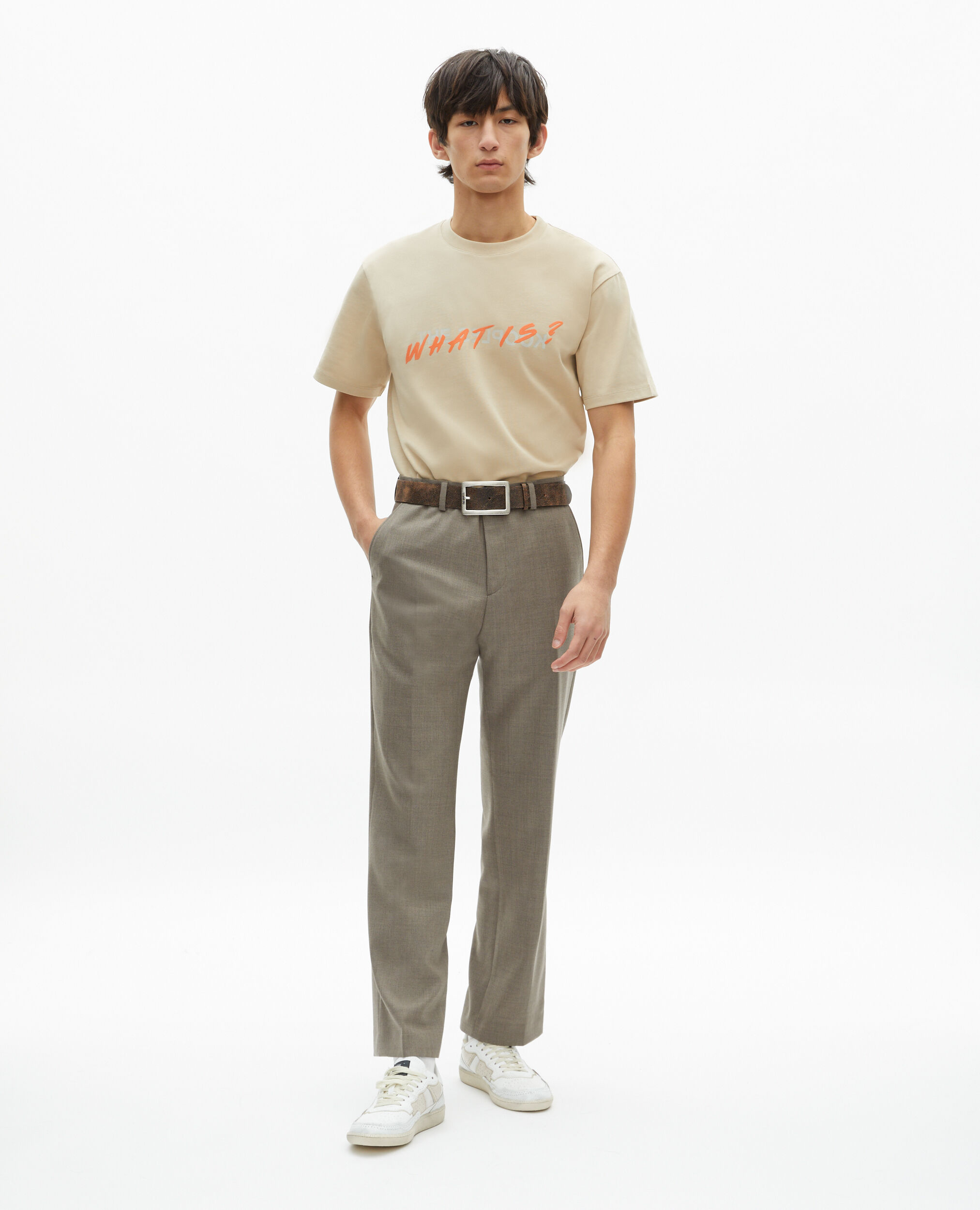 T-shirt What is beige, BEIGE TAUPE, hi-res image number null