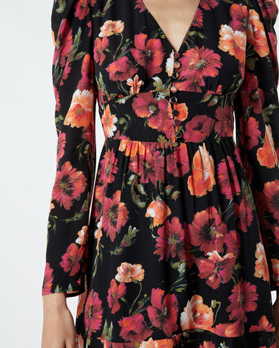 , MULTICOLOR, hi-res image number null