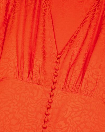 , ORANGE RED, hi-res image number null