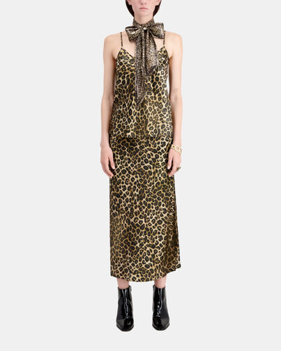 , LEOPARD, hi-res image number null