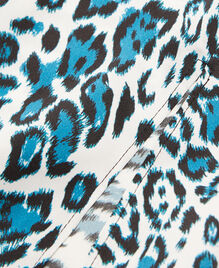 , BLUE WHITE, hi-res image number null