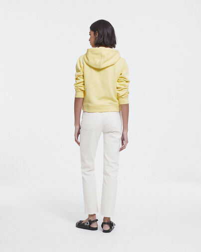 , YELLOW, hi-res image number null