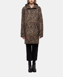 , LEOPARD, hi-res image number null