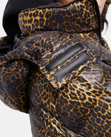, LEOPARD, hi-res image number null