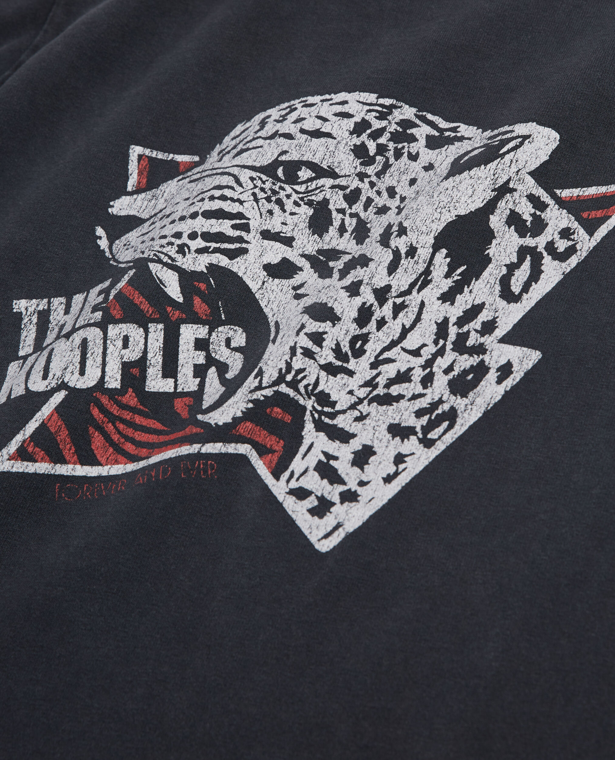 Camiseta serigrafiada tigre para hombre, BLACK WASHED, hi-res image number null