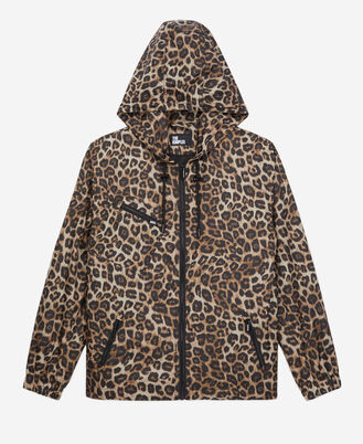 , LEOPARD, hi-res image number null