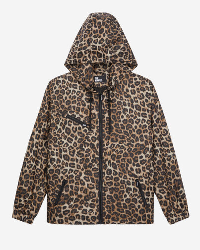 , LEOPARD, hi-res image number null