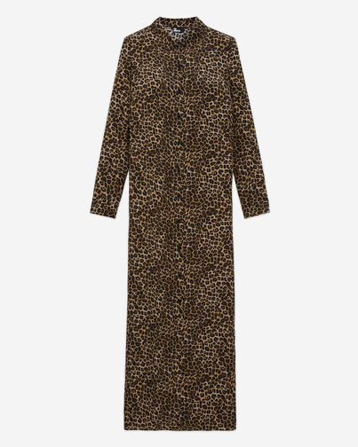 , LEOPARD, hi-res image number null