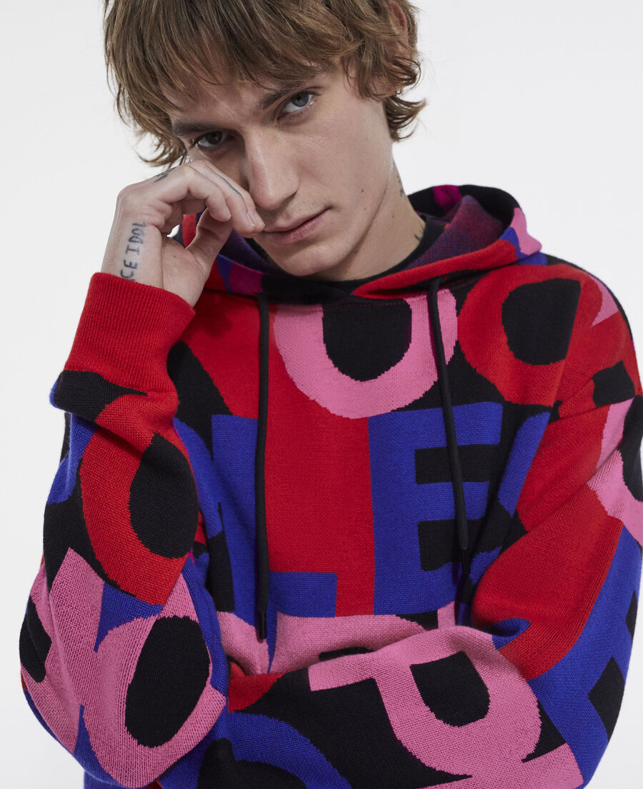 sweatshirt with multicolored logo