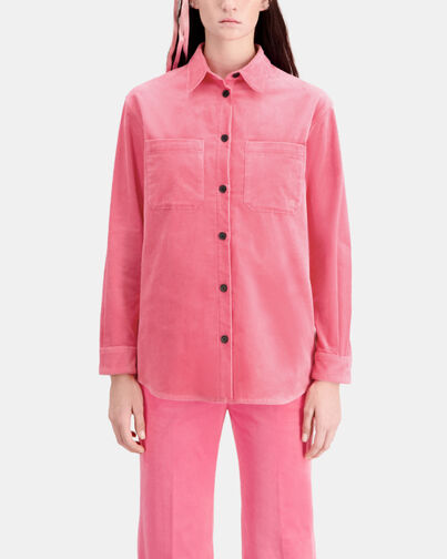 , OLD PINK, hi-res image number null