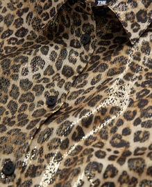 , LEOPARD, hi-res image number null