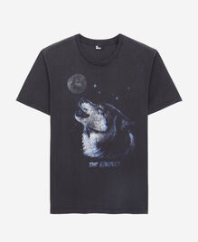 , BLACK WASHED, hi-res image number null
