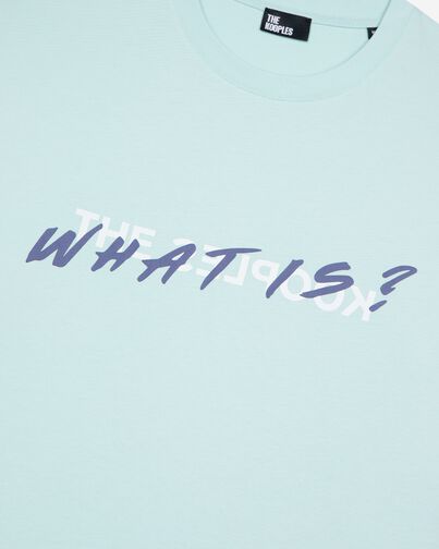 , BABY BLUE, hi-res image number null