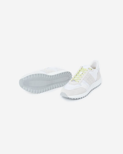 , GREEN-WHITE, hi-res image number null