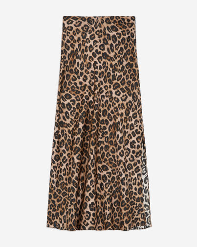 , LEOPARD, hi-res image number null