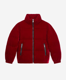 , DARK BURGUNDY, hi-res image number null