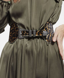 , LEOPARD, hi-res image number null