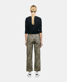 , LEOPARD, hi-res image number null
