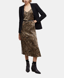 , LEOPARD, hi-res image number null