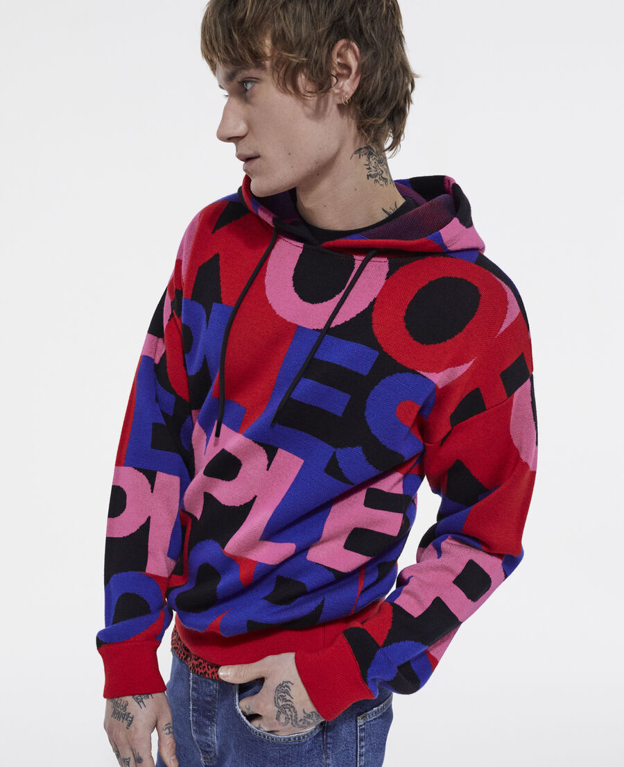 sweatshirt with multicolored logo
