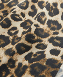 , LEOPARD, hi-res image number null