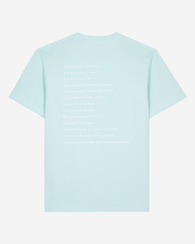 , BABY BLUE, hi-res image number null
