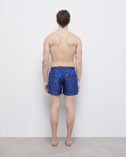 , BLUE ELECTRIC, hi-res image number null