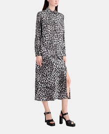, BLACK WHITE LEOPARD, hi-res image number null