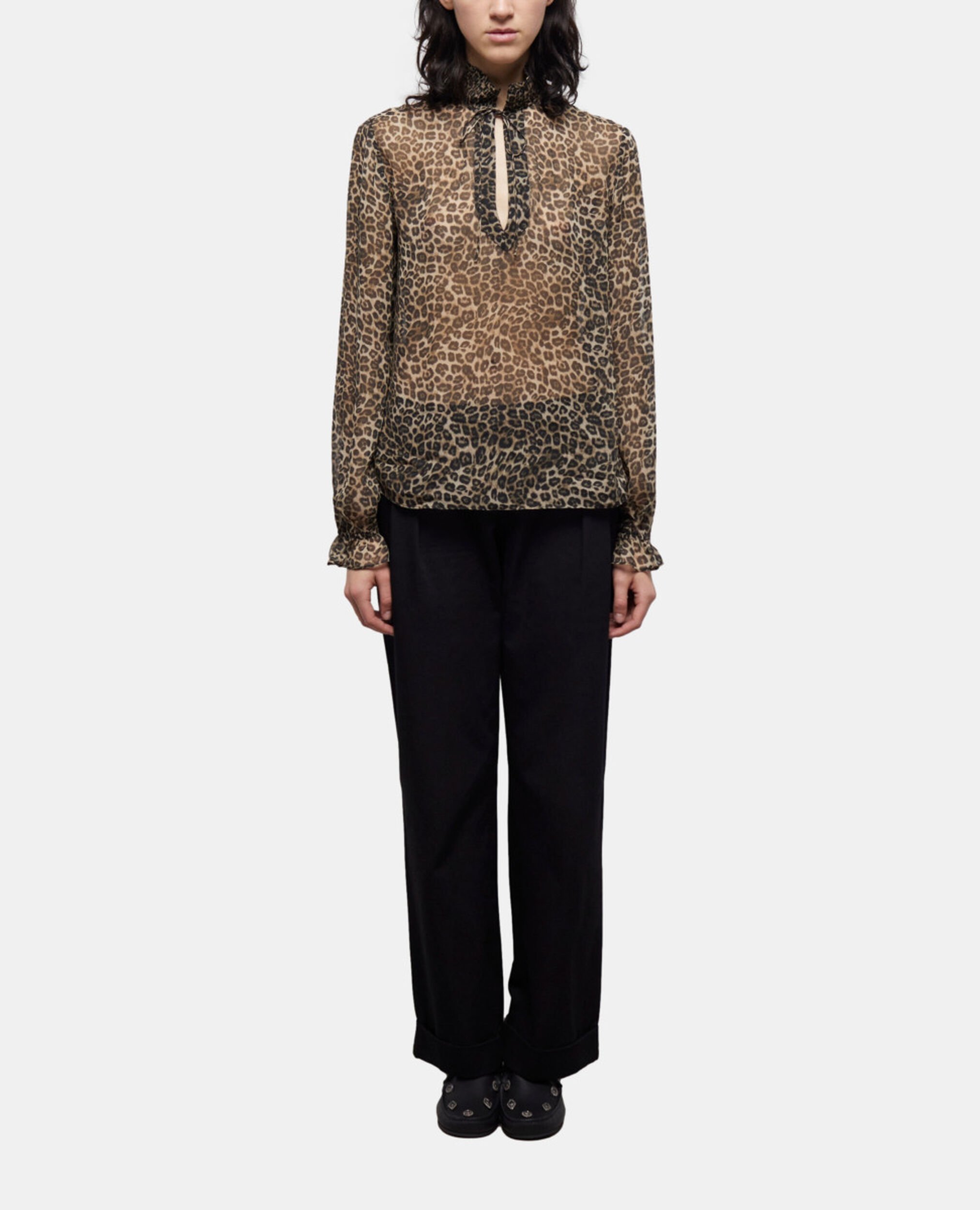 , LEOPARD, hi-res image number null