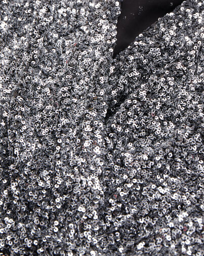 , SILVER, hi-res image number null