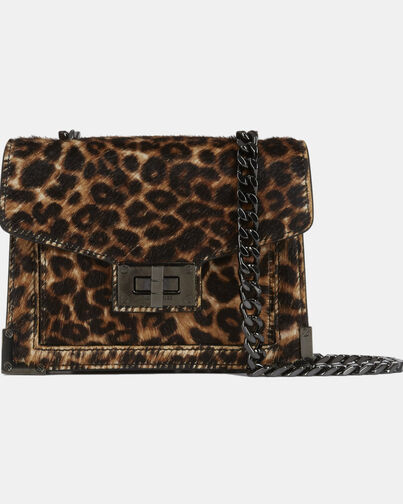 , LEOPARD, hi-res image number null