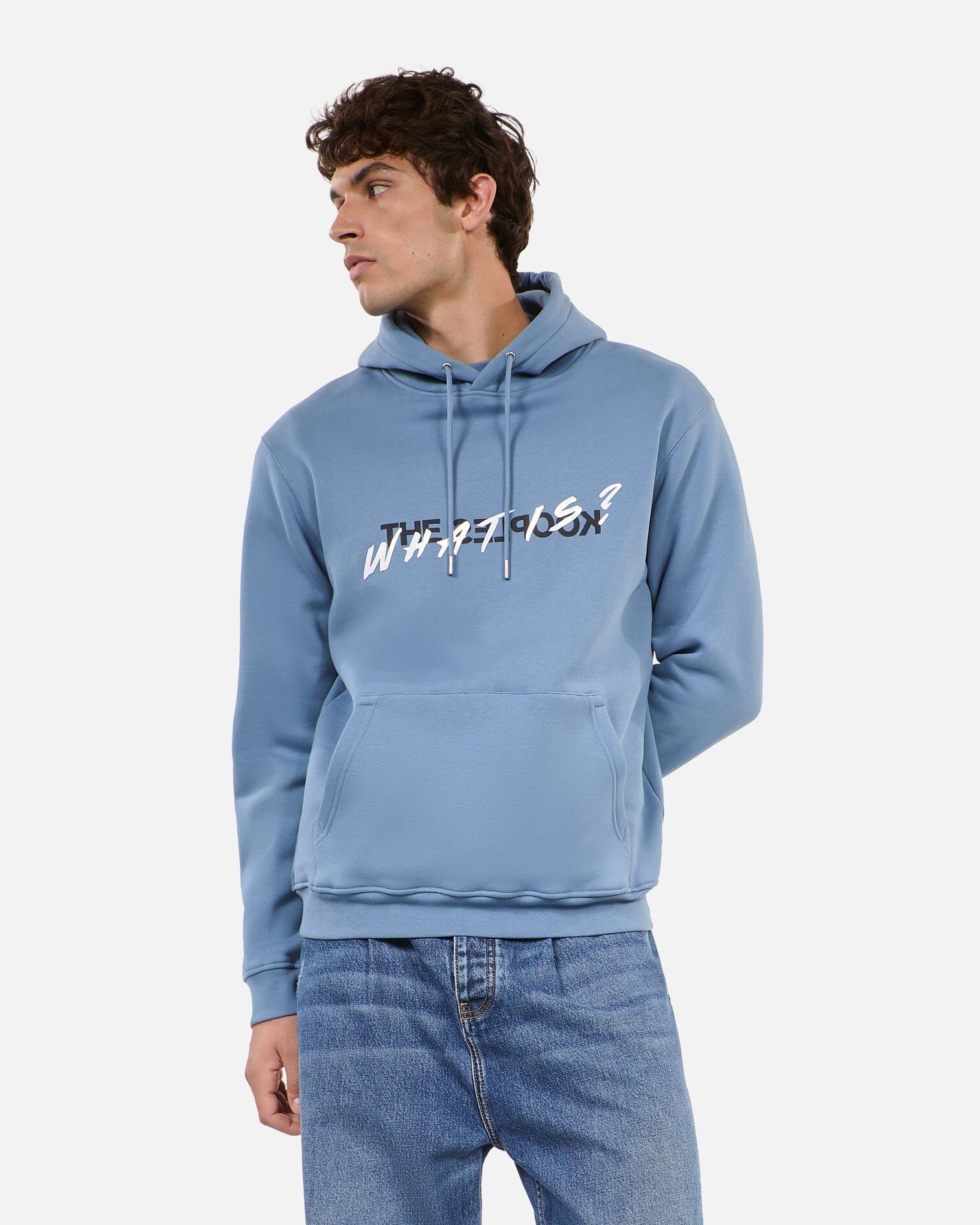 Sweatshirt à capuche What is bleu, STONE BLUE, hi-res image number null