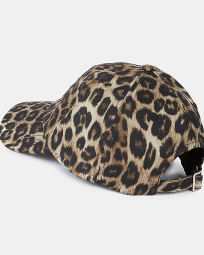, LEOPARD, hi-res image number null