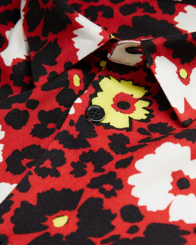 , MULTICOLORE/RED, hi-res image number null