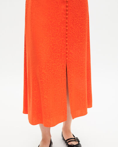 , ORANGE RED, hi-res image number null