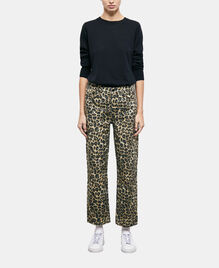 , LEOPARD, hi-res image number null