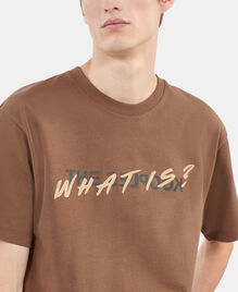 , BROWN, hi-res image number null