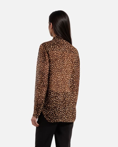 , LEOPARD, hi-res image number null