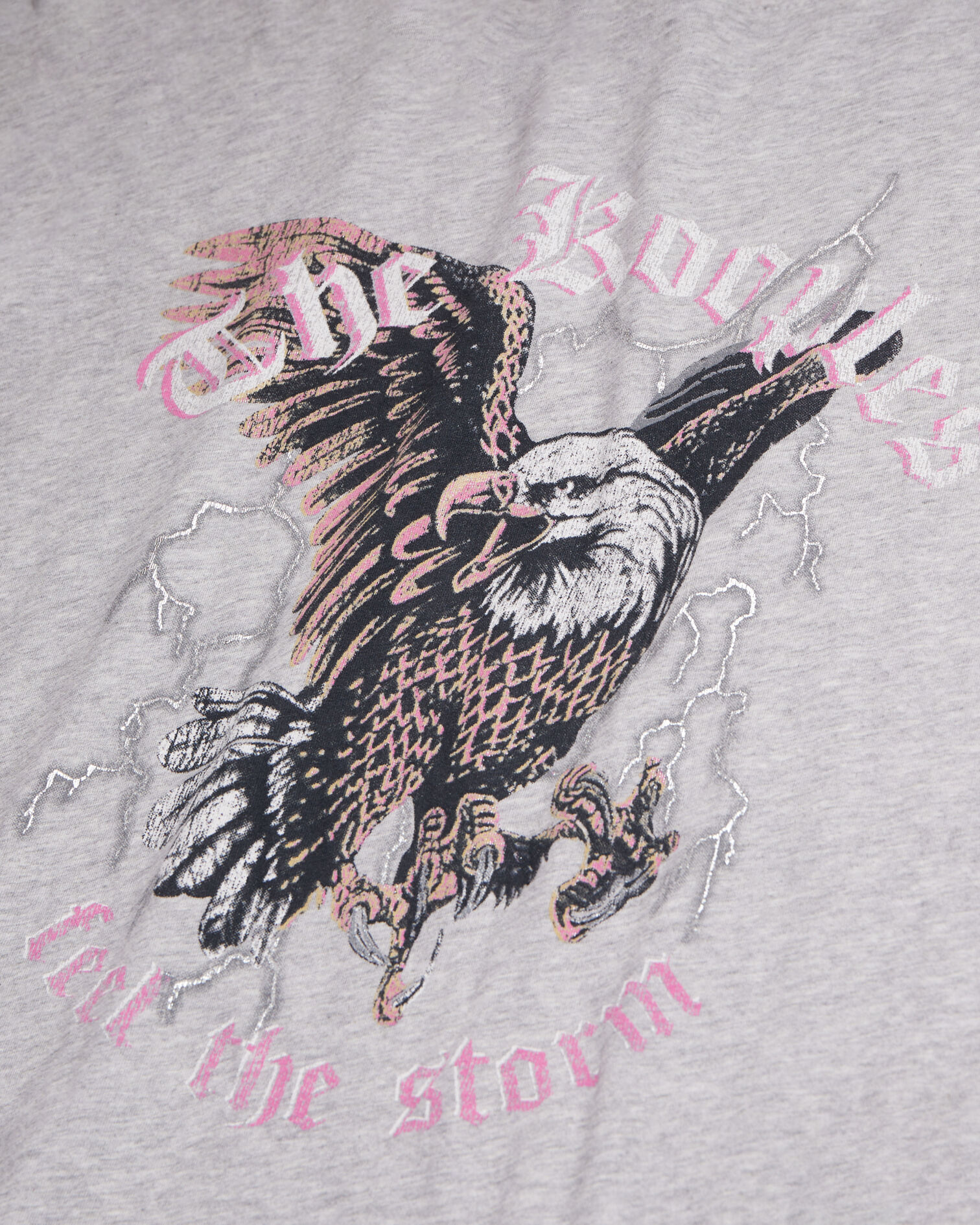 Grey t-shirt with Feel the storm serigraphy, GRIS CLAIR, hi-res image number null