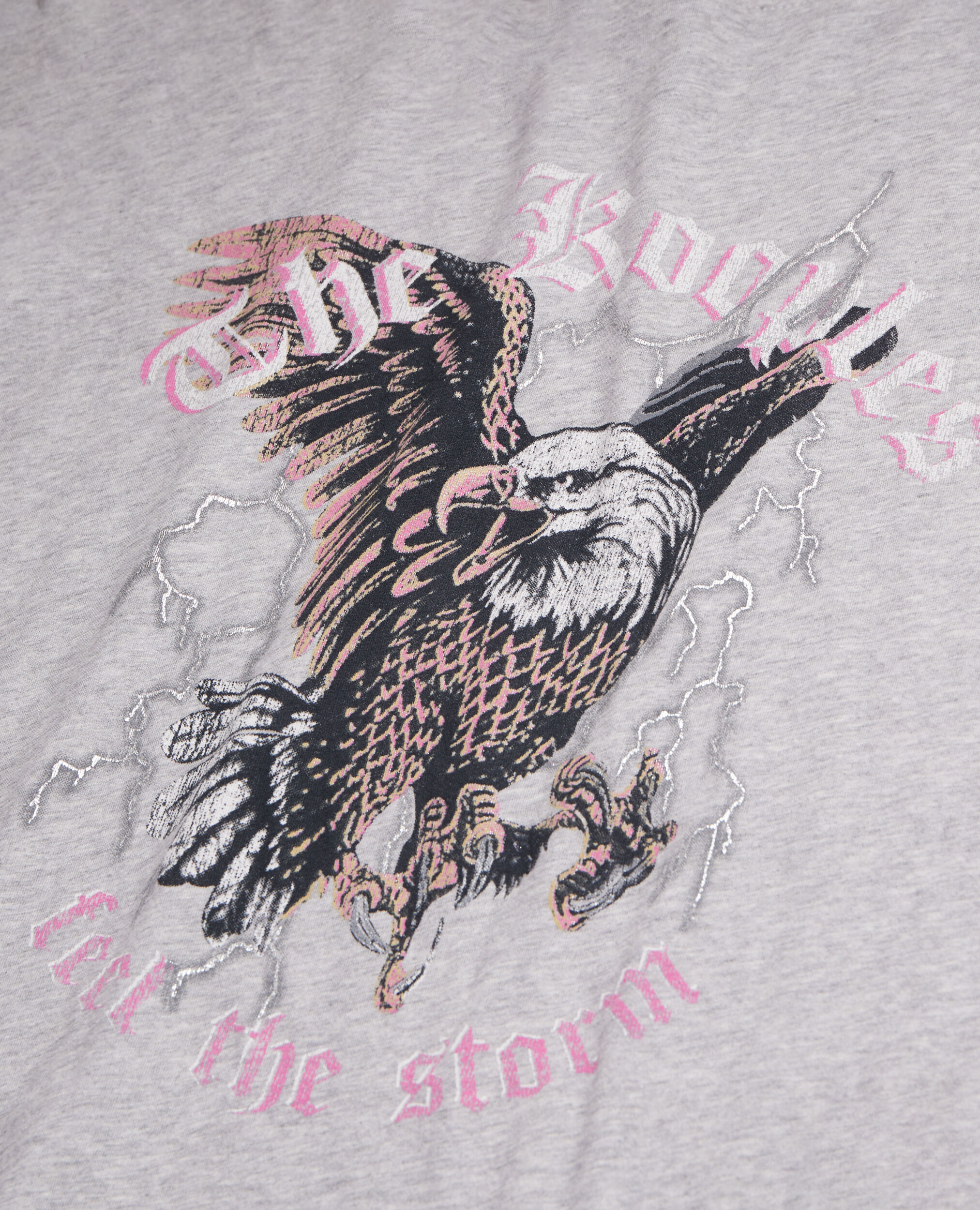 T-shirt Femme gris avec sérigraphie Feel the storm, GRIS CLAIR, hi-res image number null