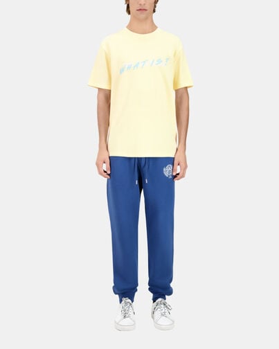 , BRIGHT YELLOW, hi-res image number null