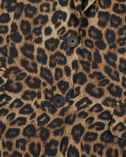 , LEOPARD, hi-res image number null